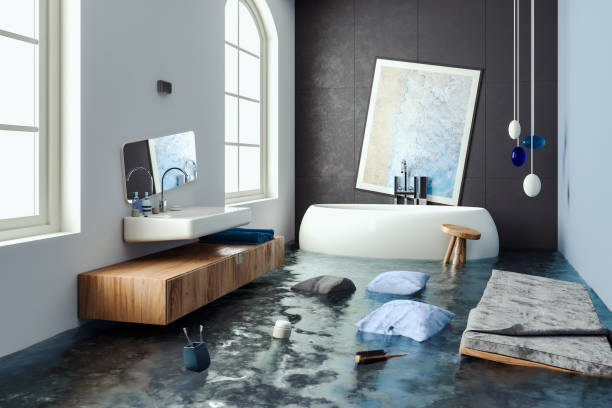 Best Professional water damage repair  in Cohoes, NY