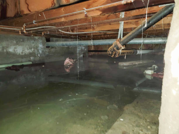 Best 24/7 water damage repair  in Cohoes, NY