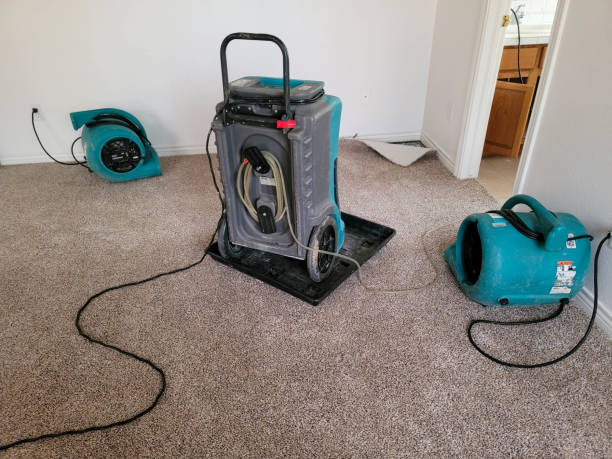 Best 24-hour water damage restoration  in Cohoes, NY