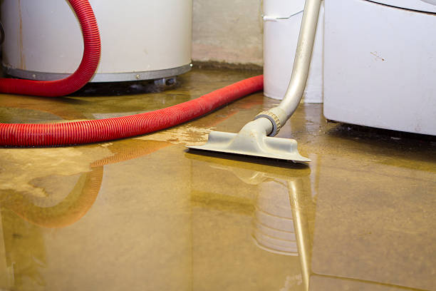 Best Water damage contractors near me  in Cohoes, NY