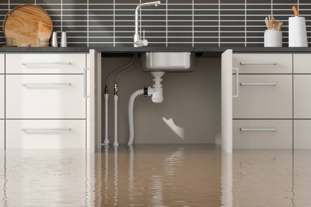 Best Water damage cleanup near me  in Cohoes, NY