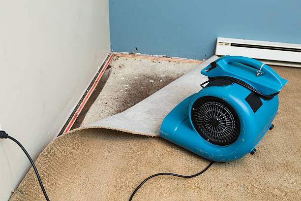 Best Sewage cleanup and water damage restoration  in Cohoes, NY